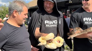 Information Devon Larratt & snakes new strategy for Ermes Gasparini #devonlarratt #eastvswest #johnbrzenk #1v1 News