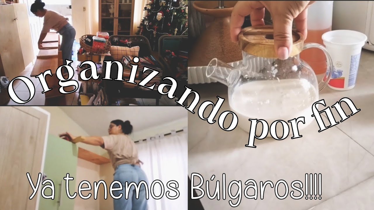 DIAS DE ORGANIZACIÓN/ CONSEGUI BULGAROS DE KEFIR/ACTIVAMOS MASA MADRE