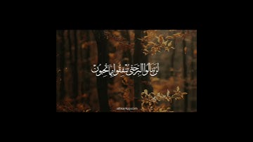#تلاوة_خاشعة القارئ عبدالله الموسى