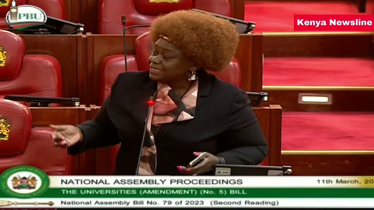 YOU NEED A DIPLOMA IN LEADERSHIP.MP Millie Odhiambo Goes for Speaker debating in Parliament