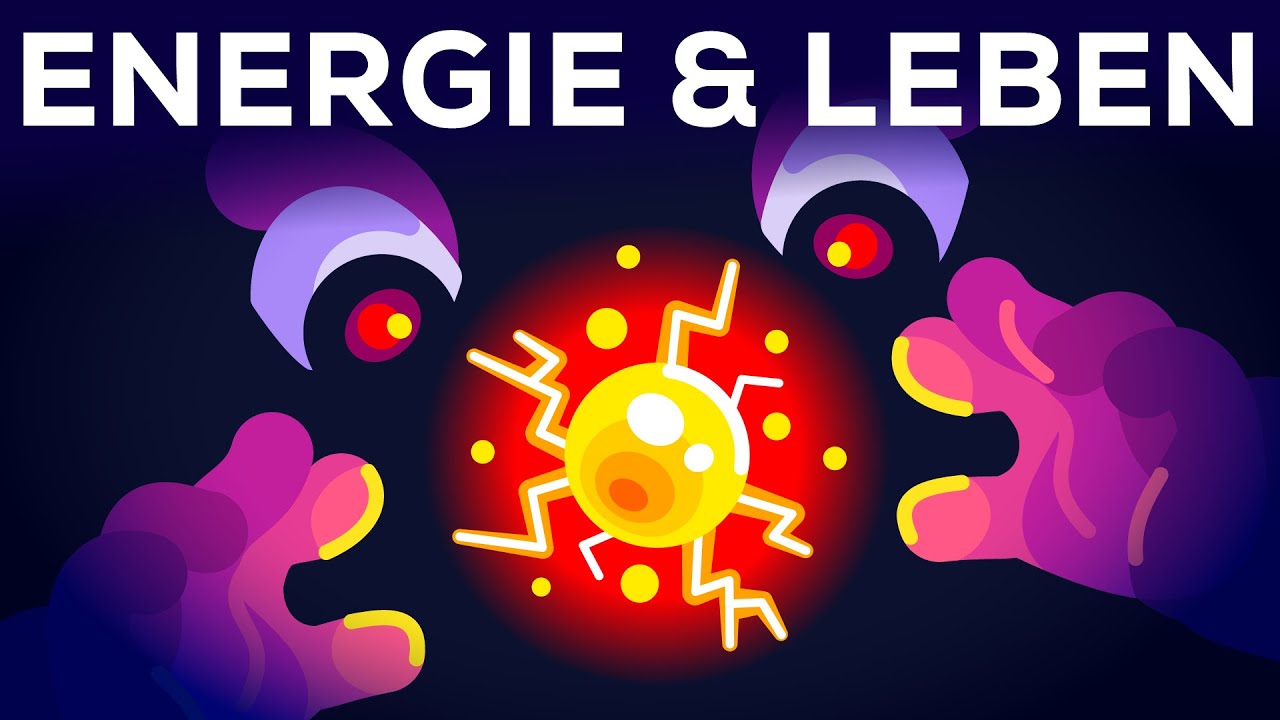 ⁣Warum lebst du? - Energie & Entropie