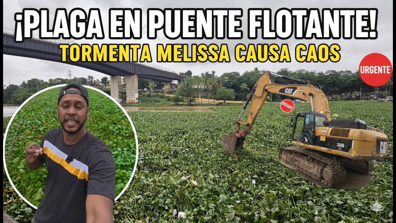 🌊 ¡Caos Total! Tormenta Melisa deja al río Ozama y el Puente Flotante al borde del colapso 😱🚨