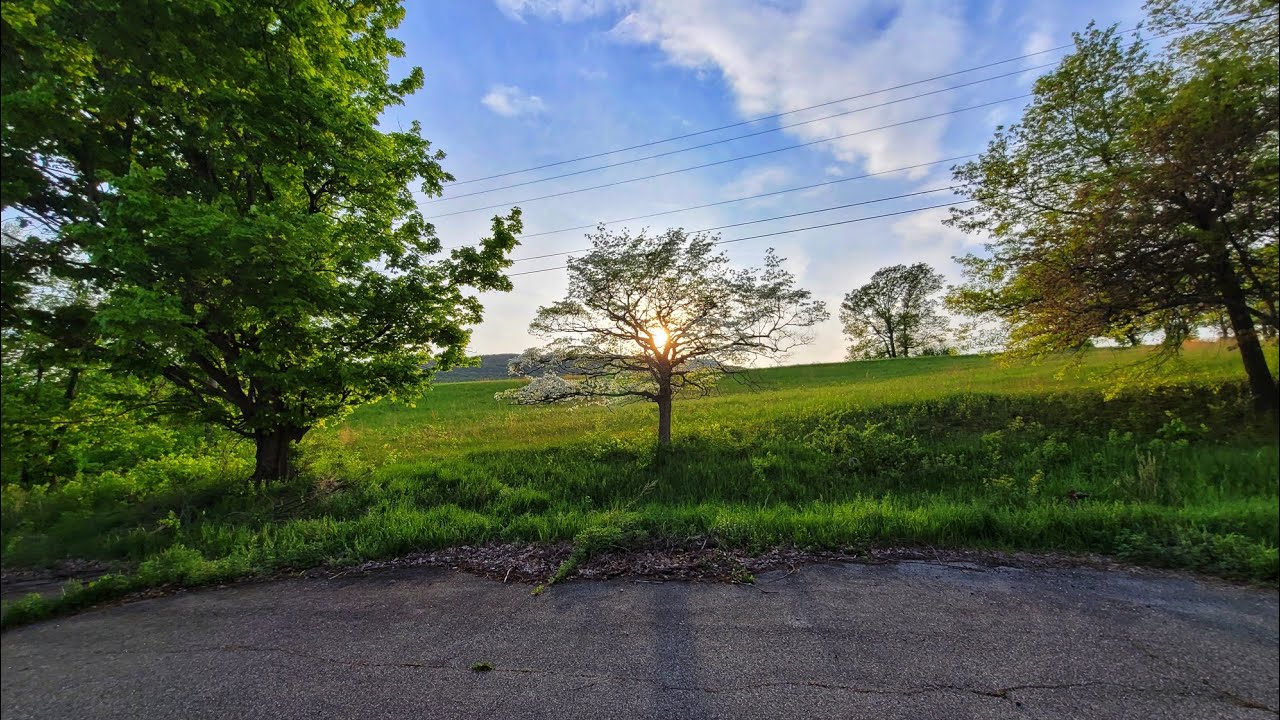 Seeing & Cultivating Potential