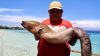 Terjebak diPerangkap Belut MORAY JUMBO jadi Menu lezat buka Puasa