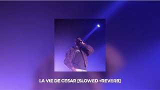 Werenoi & Dosseh - La vie de César [slowed + reverb]