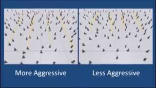 Simulating Heterogeneous Crowd Behaviors Using Personality Trait Theory