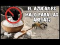 ✅ UTILIZAR O NO AZUCAR PARA ALIMENTAR A LAS ABEJAS | 👉ES CORRECTO?🐝