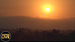 safariLIVE - Sunrise Safari - October 07, 2019