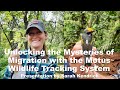 Unlocking the Mysteries of Migration with the Motus Wildlife Tracking System