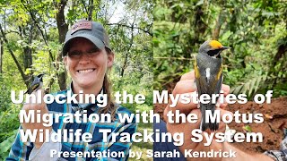 Unlocking the Mysteries of Migration with the Motus Wildlife Tracking System