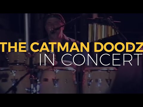 The Catman Doodz - Live Reel