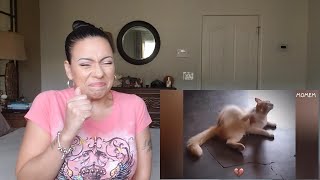 Try Not To Laugh Challenge | You Laugh 2 Times, You Restart - REACTION!