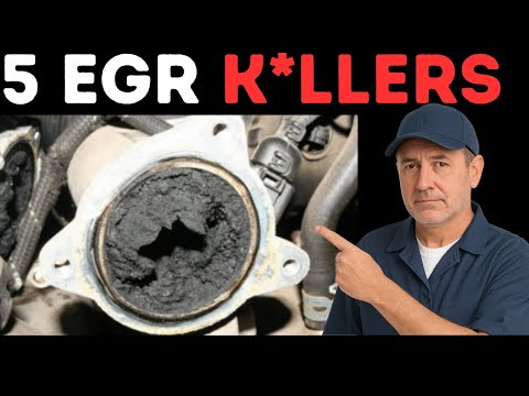 Egr Mean