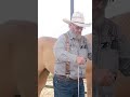 Horse Measurement Hack That Works Every Time #shorts #horse #tips