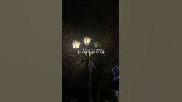 سورة الكافرون _ ماهر المعيقلي