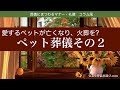 葬儀マナー《ペット葬儀その2》愛するペットが亡くなり、火葬を?