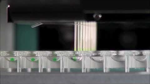 demonstration of SPT Labtech