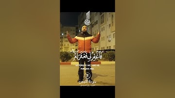 القران الكريم سورة القصص 🕋#allah
