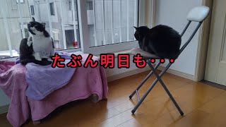 たぶん明日も･･･