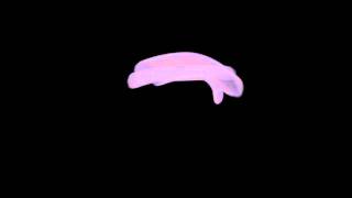motionBlur.mov