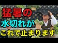 【お試し下さい】どうしても水が切れてしまう方へ最終手段教えます　　　　【園芸超人カーメン君】【保水くん】