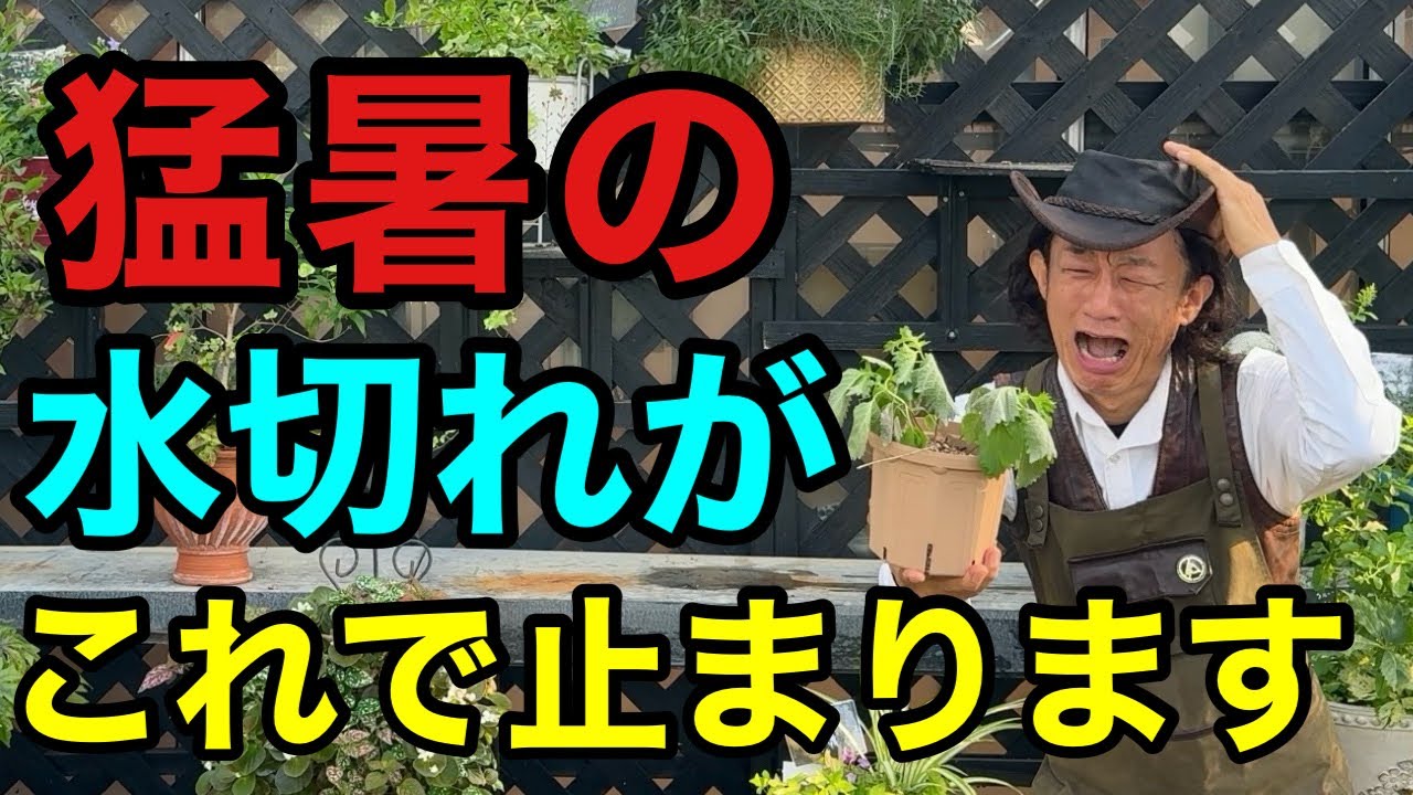 【お試し下さい】どうしても水が切れてしまう方へ最終手段教えます　　　　【園芸超人カーメン君】【保水くん】