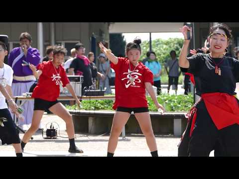 ザ・フェスティバル／午後の部③ｶﾒﾗL／第98回 よさこい応援団チャリティ演舞201908