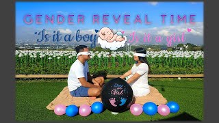 Gender Reveal Unique And Affordable Made Set Up With An Amazing View Clouds And 1000 Roses 