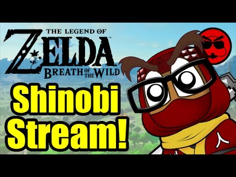 Hunting for Koroks! - Shinobi Stream - Hunting for Koroks! - Shinobi Stream
