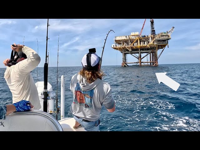 Battling One Of The Hardest Fighting Fish In The Gulf of Mexico! 