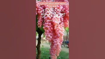فواتح سوره الاسراء بصوت القارئ الشيخ فارس عباد ♥️♥️♥️ #اكسبلور #القران