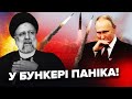 ТИЗЕНГАУЗЕН: Путін готує НОВУ ВІЙНУ! Смерть Раїсі - ЗНАК для диктаторів. Важлива ГОСТЯ у Києві