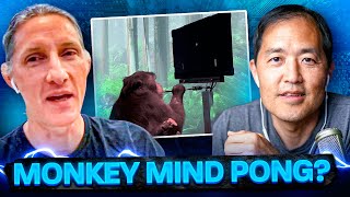 The Future of Neuralinks Brain-Machine Interface w/ James Douma