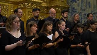 Caminhos - Dor, Luz E Esperança - Sofia Sousa Rocha Orquestra Do Distrito De Braga
