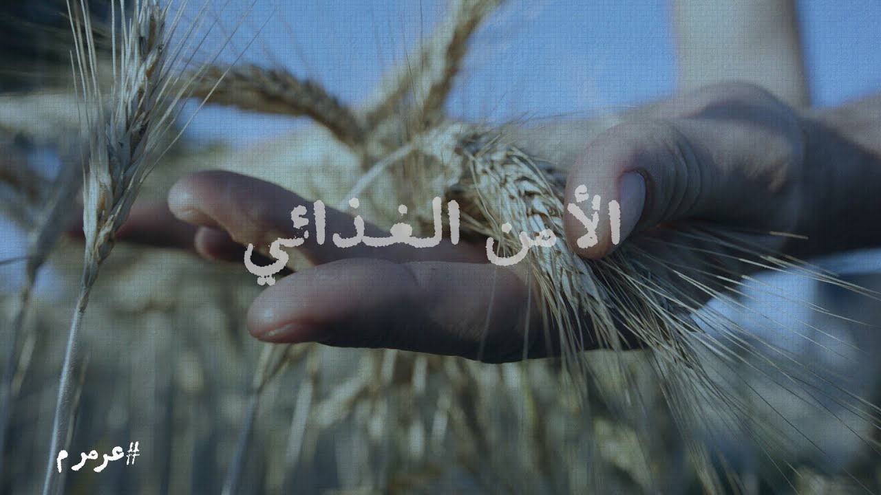 الأمن الغذائي