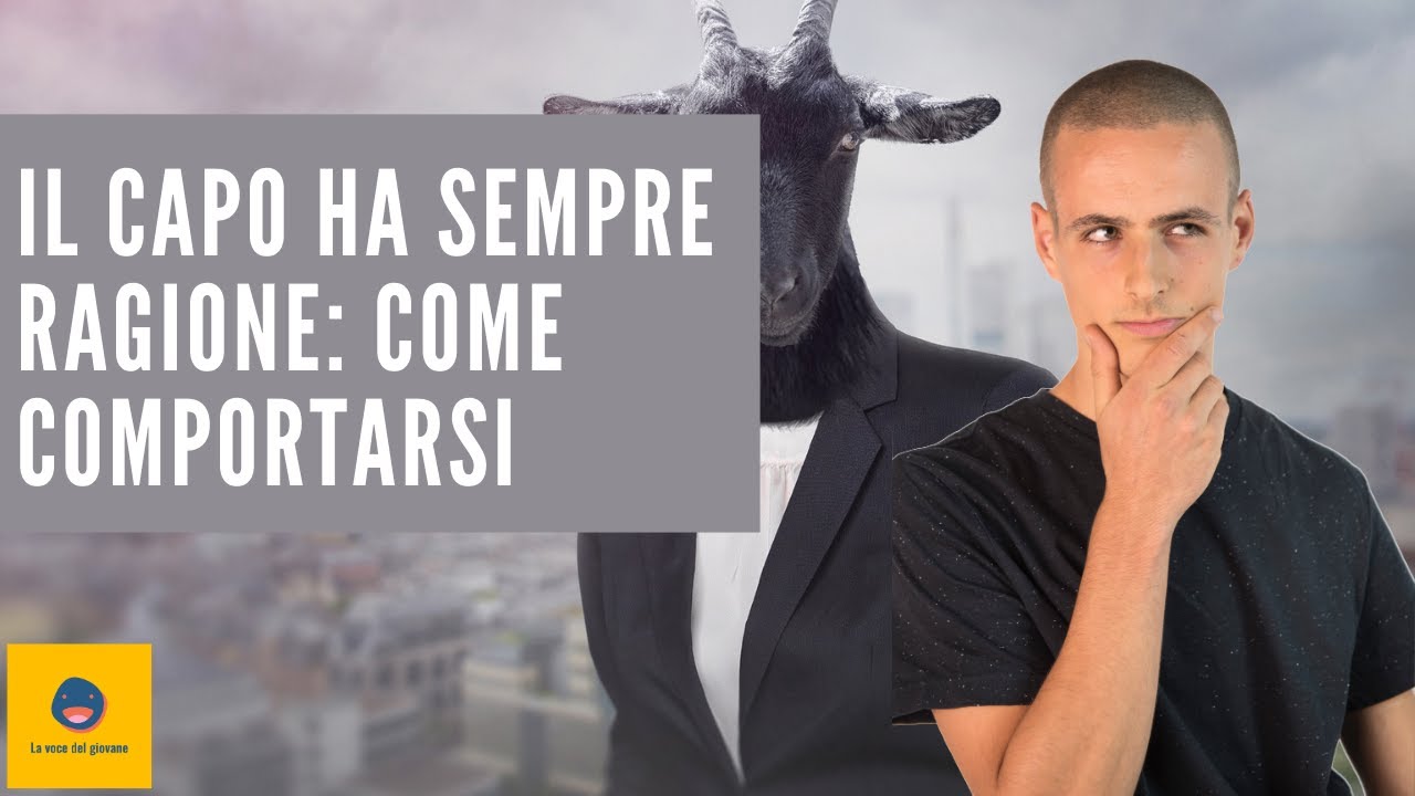 Il capo ha sempre ragione come comportarsi YouTube Il capo ha sempre ragione come comportarsi YouTube