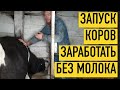 ДОМ В СЕЛЕ. ЗАПУСК КОРОВ. МОЙ АЛЬТЕРНАТИВНЫЙ ДОХОД ПРИ ОТСУТСТВИИ МОЛОКА. Синхронизация отелов.