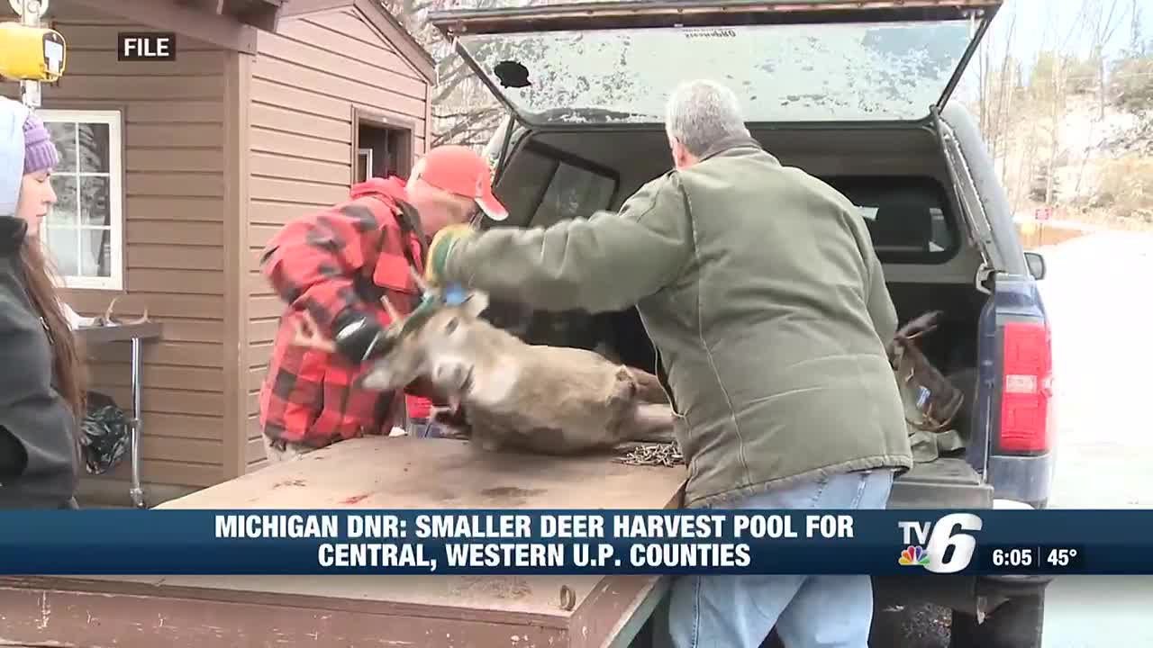Michigan DNR expects lower deer population available for harvest this season
