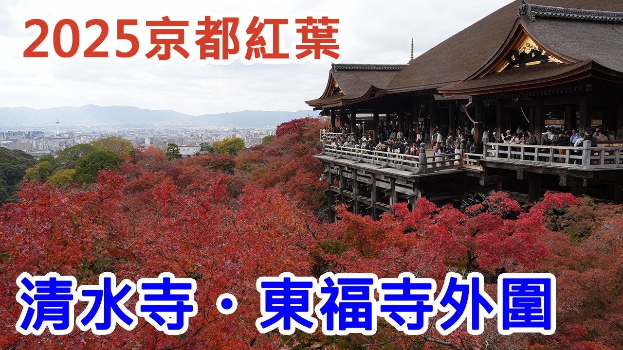 【2025京都紅葉】清水寺・東福寺外圍紅葉見頃！實拍超美 🍁