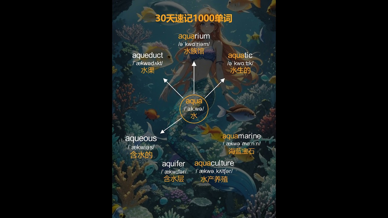 30天1000单词速记！英语开挂神器，一键掌握高频词汇