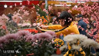 Download Lagu seedance 2.0 TEST Wrath in Bloom for Her-at the Guangzhou Flower Market #kungfu #chinesenewyear MP3