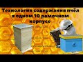 Технология содержания пчёл в одном 10 рамочном корпусе и магазинах на 145 рамку.