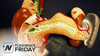 Famous Flashback Friday: How to Reduce Carcinogenic Bile Acid Production Net Worth