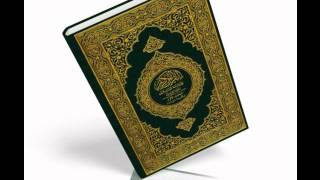 QURAN Karim Surati Nooh Muhammad Siddiq Minshawi
