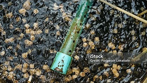 How MBBR Technology Transforms Industrial Wastewater