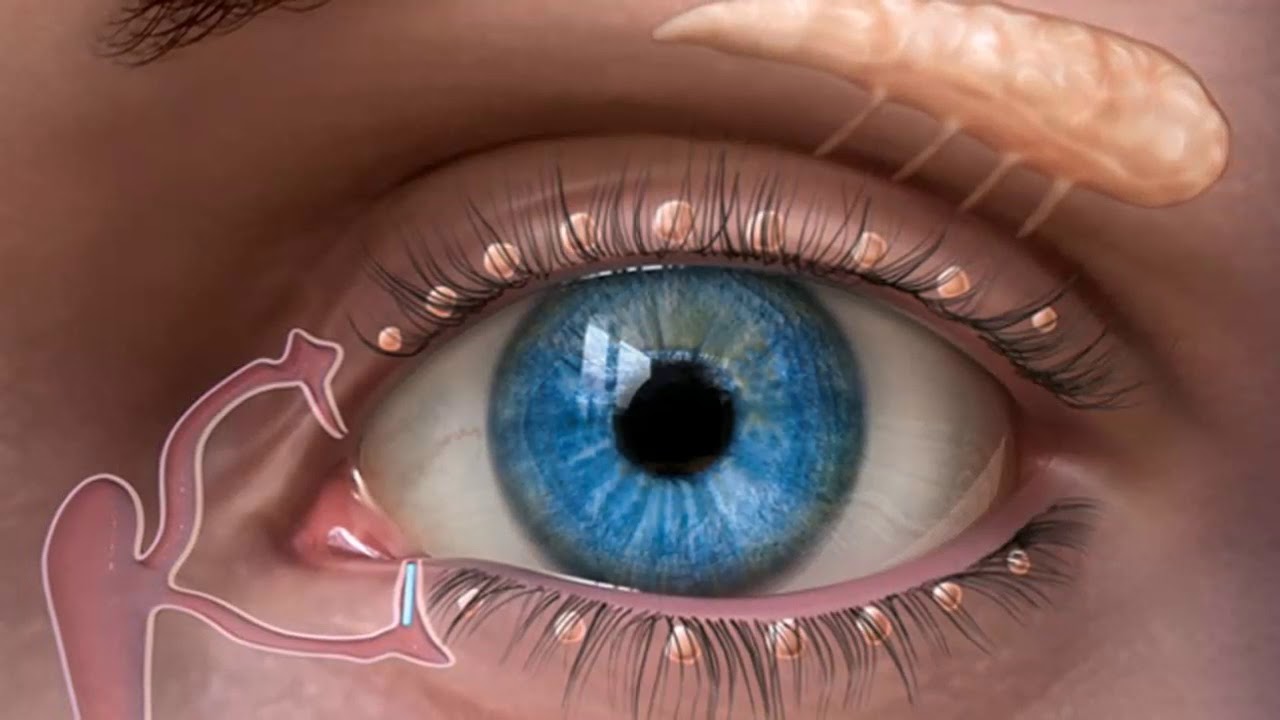 Look what happens when you put this oil in your eyes YouTube