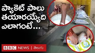 Milk Processing Plant: మీ ఇంటికొచ్చే ప్యాకెట్ పాలు ఎలా తయారవుతాయో చూడండి | BBC Telugu