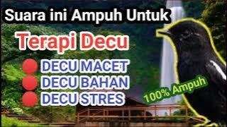 TERAPI DECU MACET BUNYI | BIKIN DECU GACOR DOR | BURUNG DECU 23