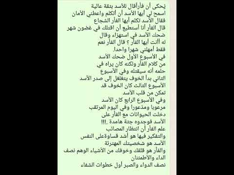 الفأر والأسد قصة خوف قتلت الأسد