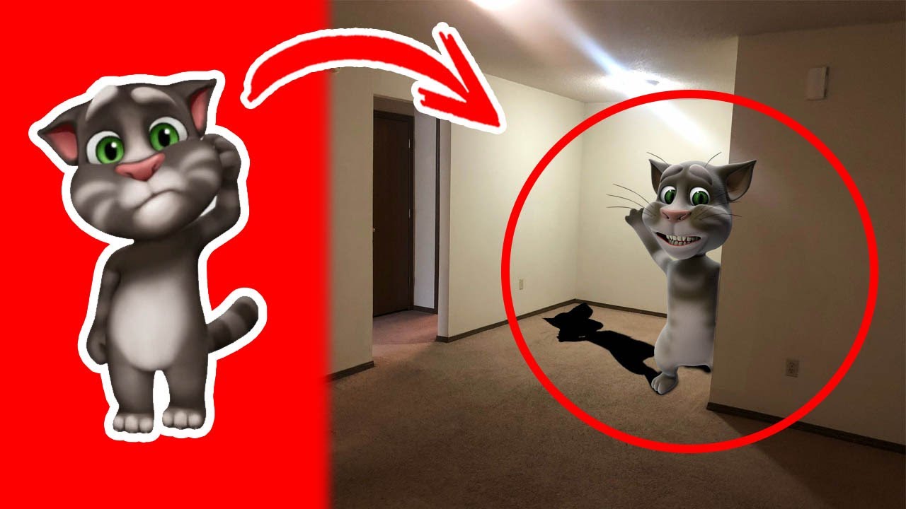TALKING TOM en la Vida Real - YouTube